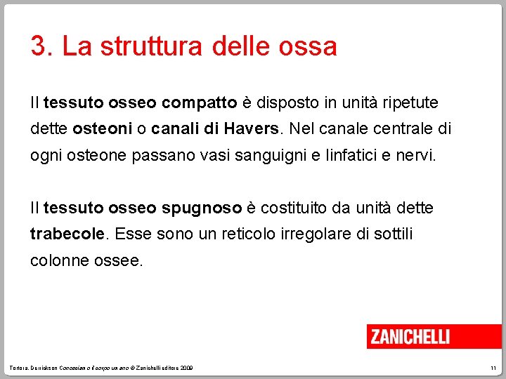 3. La struttura delle ossa Il tessuto osseo compatto è disposto in unità ripetute