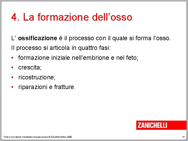 4. La formazione dell’osso L’ ossificazione è il processo con il quale si forma