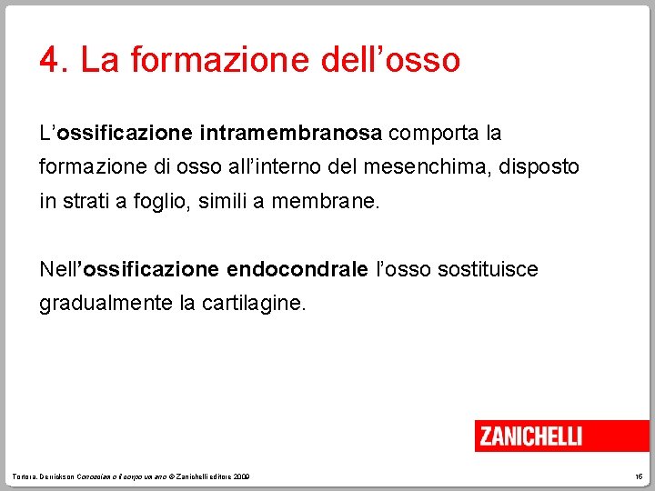 4. La formazione dell’osso L’ossificazione intramembranosa comporta la formazione di osso all’interno del mesenchima,