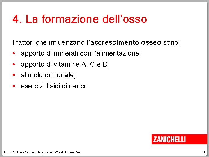 4. La formazione dell’osso I fattori che influenzano l’accrescimento osseo sono: • apporto di