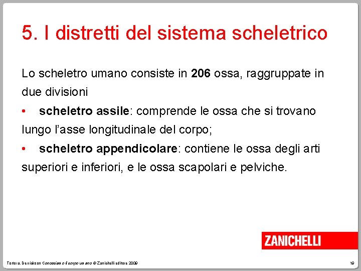 5. I distretti del sistema scheletrico Lo scheletro umano consiste in 206 ossa, raggruppate