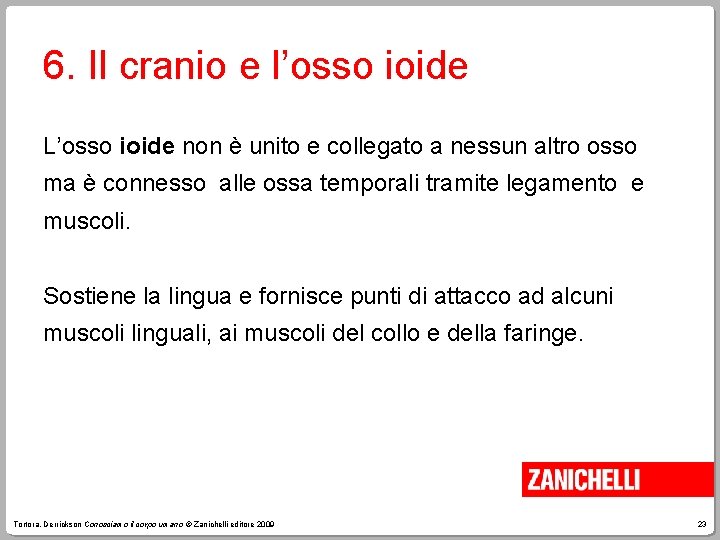 6. Il cranio e l’osso ioide L’osso ioide non è unito e collegato a