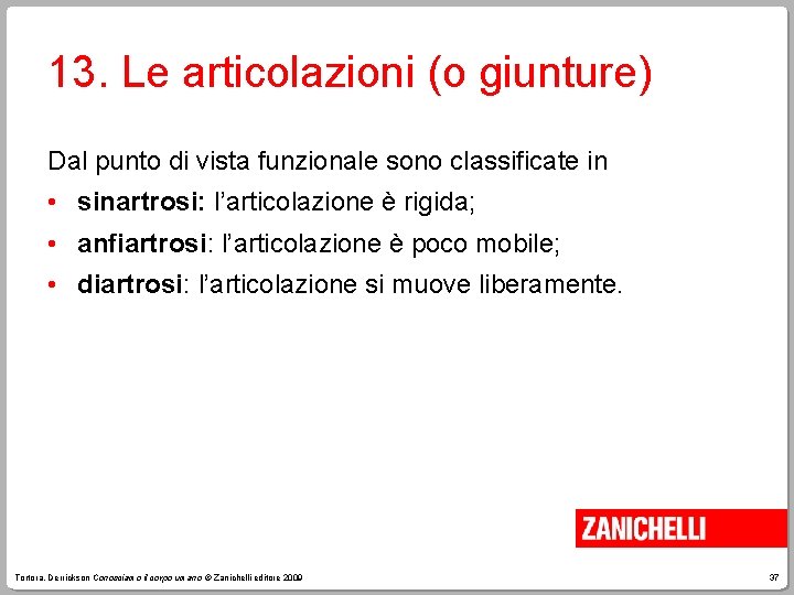13. Le articolazioni (o giunture) Dal punto di vista funzionale sono classificate in •