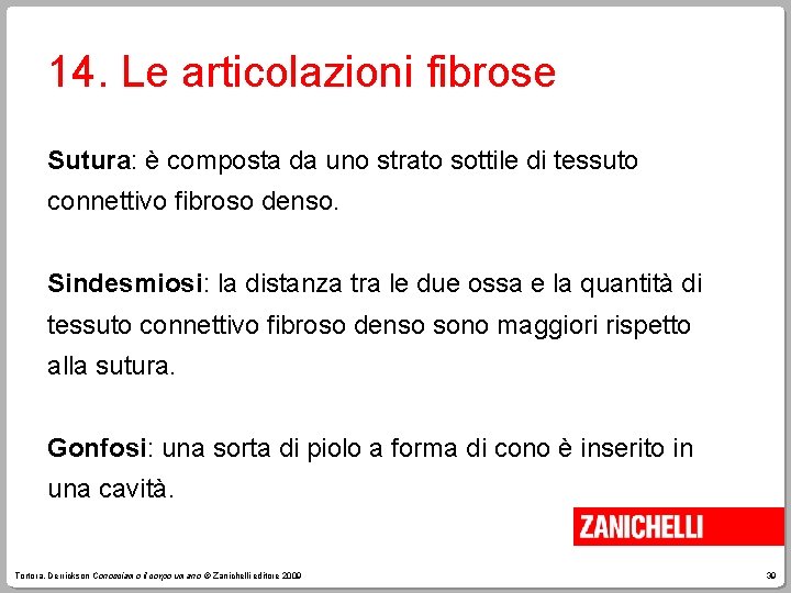 14. Le articolazioni fibrose Sutura: è composta da uno strato sottile di tessuto connettivo