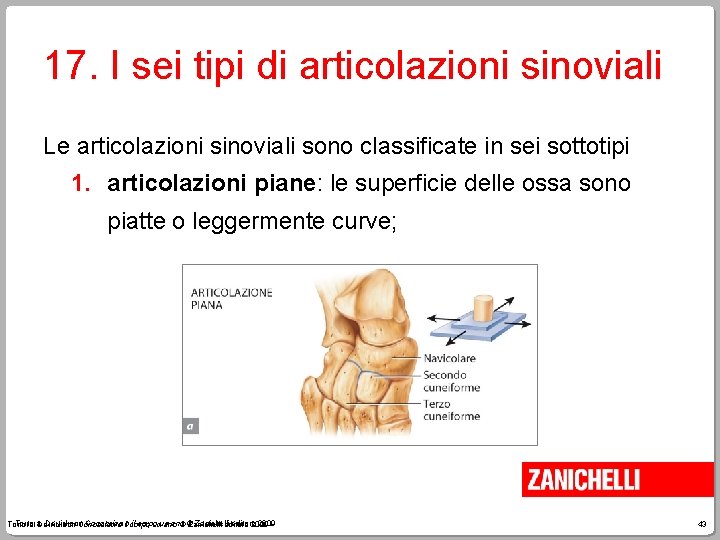 17. I sei tipi di articolazioni sinoviali Le articolazioni sinoviali sono classificate in sei