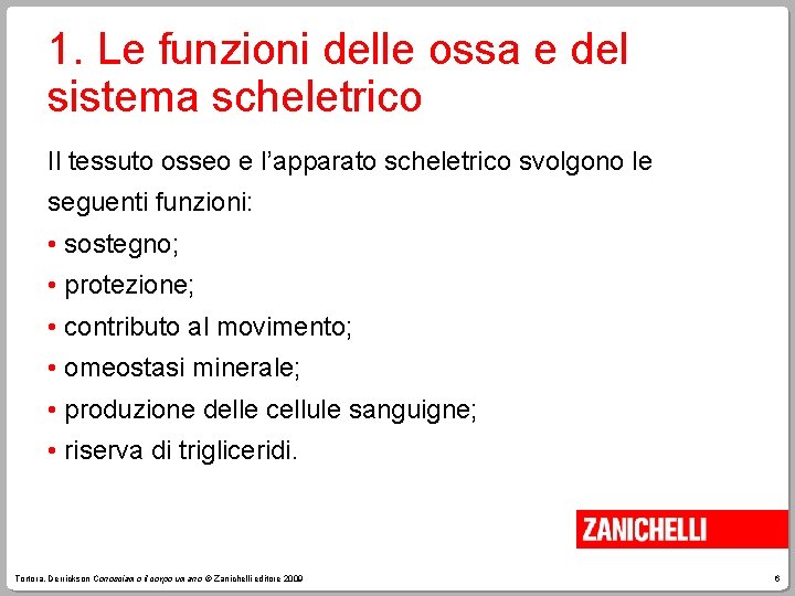 1. Le funzioni delle ossa e del sistema scheletrico Il tessuto osseo e l’apparato