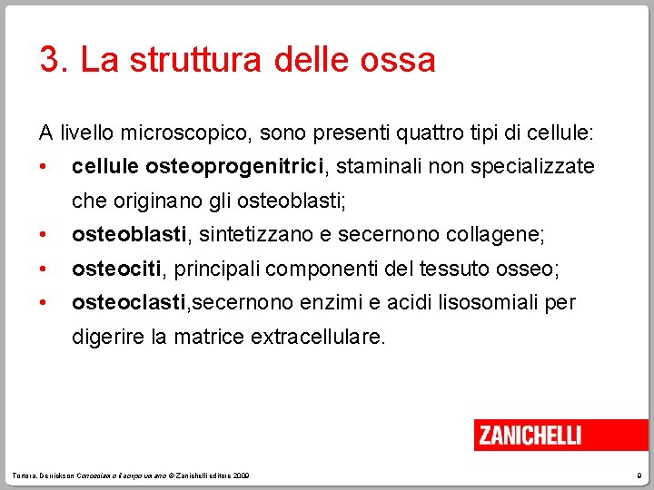 3. La struttura delle ossa A livello microscopico, sono presenti quattro tipi di cellule: