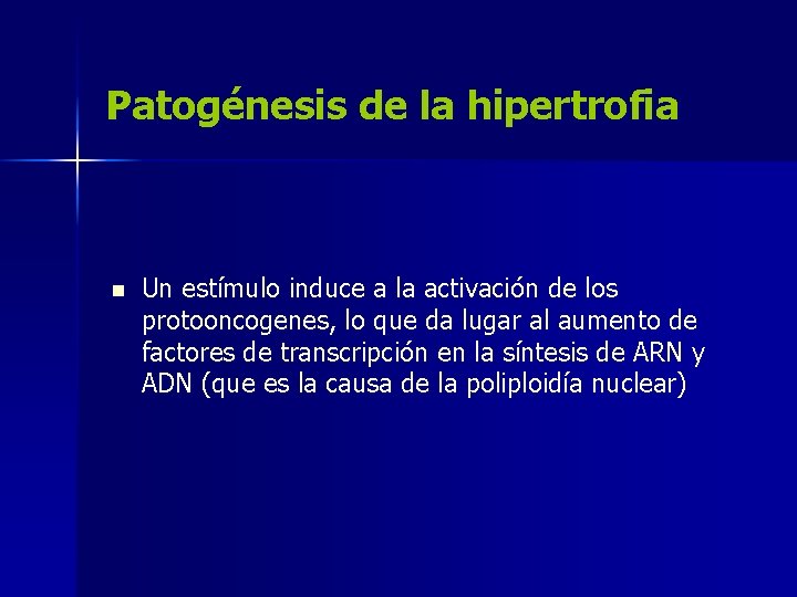Patogénesis de la hipertrofia n Un estímulo induce a la activación de los protooncogenes,