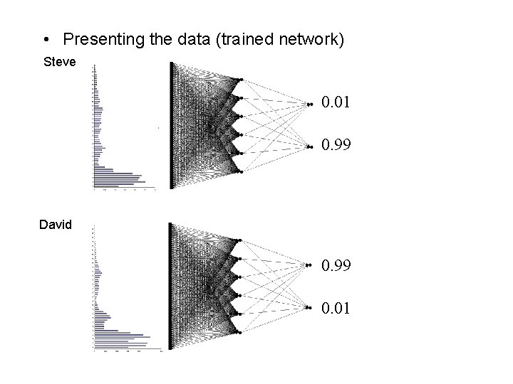  • Presenting the data (trained network) Steve 0. 01 0. 99 David 0.