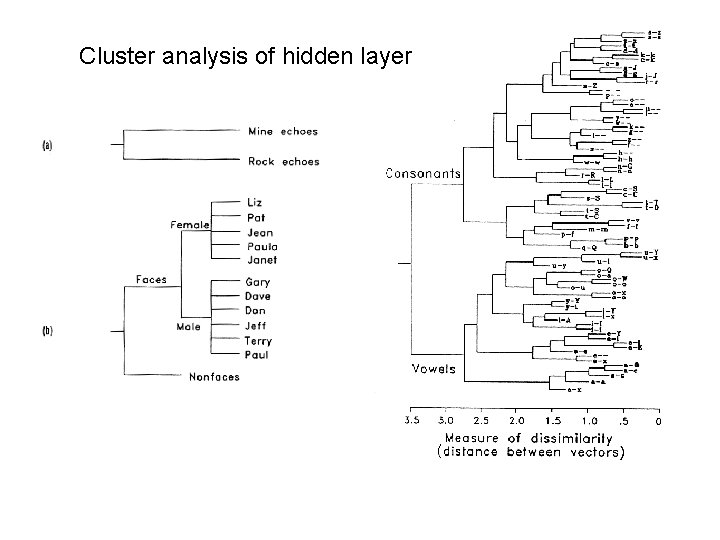 Cluster analysis of hidden layer 