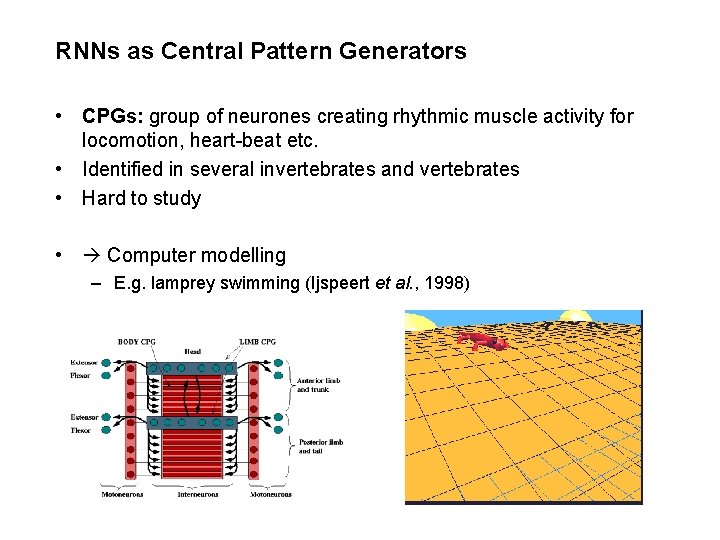 RNNs as Central Pattern Generators • CPGs: group of neurones creating rhythmic muscle activity