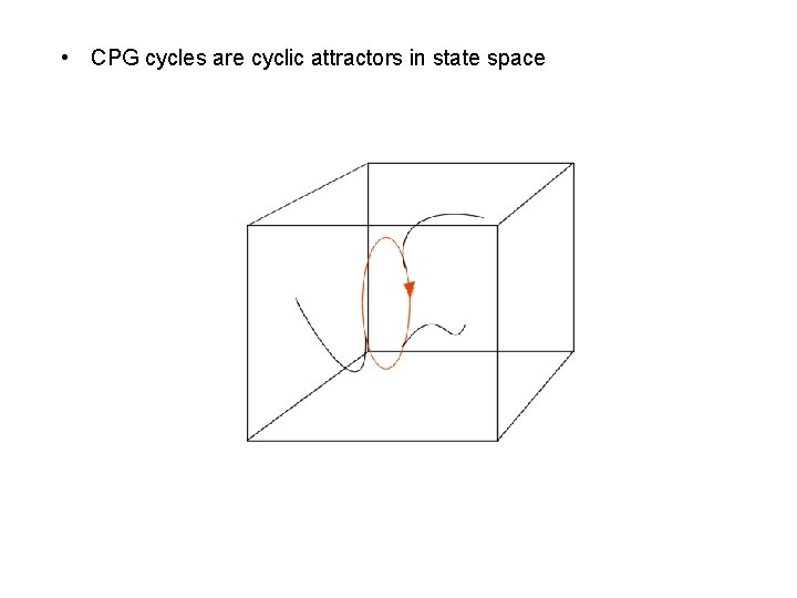  • CPG cycles are cyclic attractors in state space 