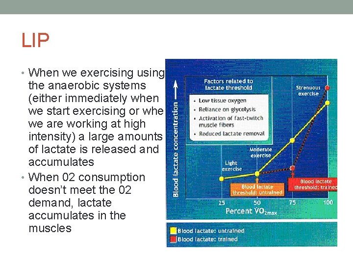 LIP • When we exercising using the anaerobic systems (either immediately when we start