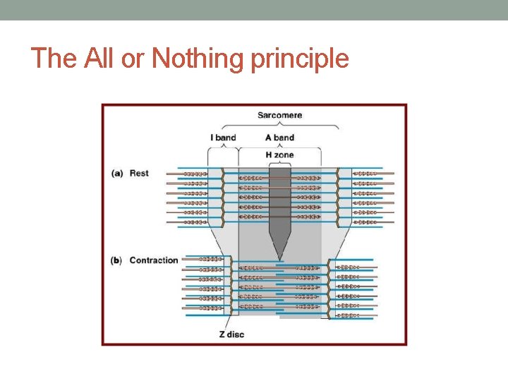 The All or Nothing principle 