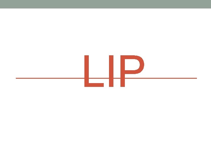 LIP 
