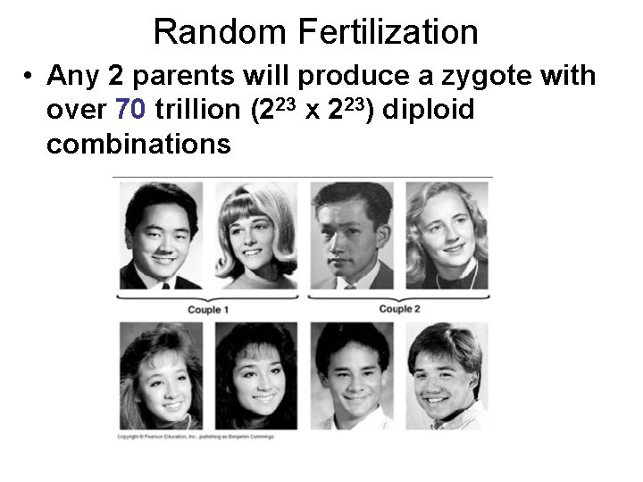 Random Fertilization • Any 2 parents will produce a zygote with over 70 trillion Random Fertilization • Any 2 parents will produce a zygote with over 70 trillion