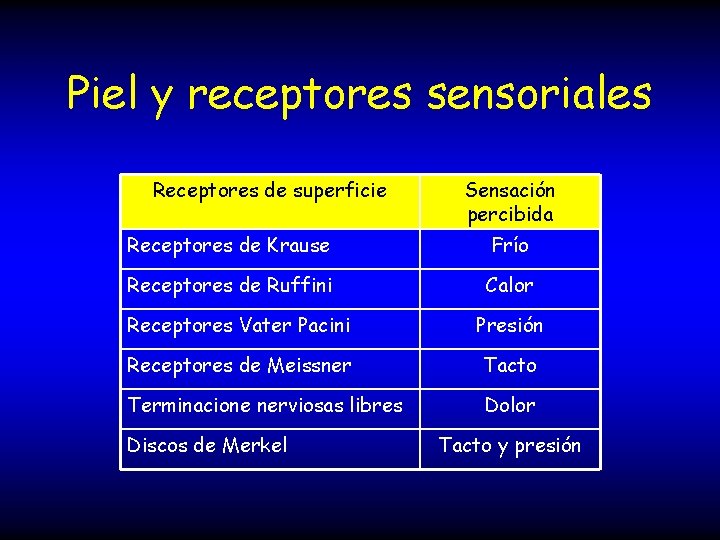 Piel y receptores sensoriales Receptores de superficie Sensación percibida Receptores de Krause Frío Receptores