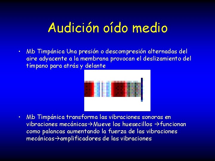 Audición oído medio • Mb Timpánica Una presión o descompresión alternadas del aire adyacente