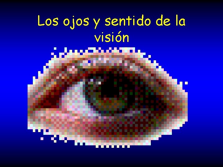 Los ojos y sentido de la visión 