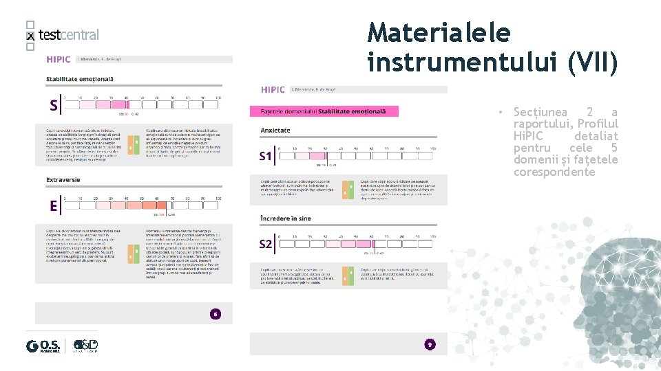 Materialele instrumentului (VII) • Secțiunea 2 a raportului, Profilul Hi. PIC detaliat pentru cele