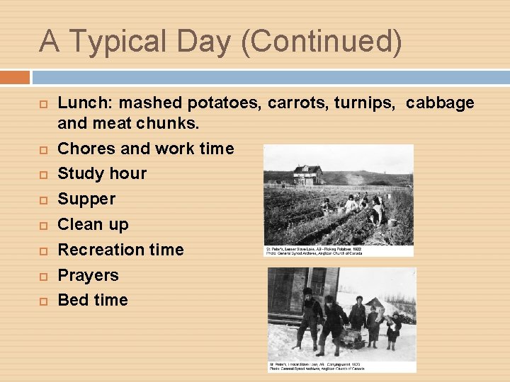 A Typical Day (Continued) Lunch: mashed potatoes, carrots, turnips, cabbage and meat chunks. Chores