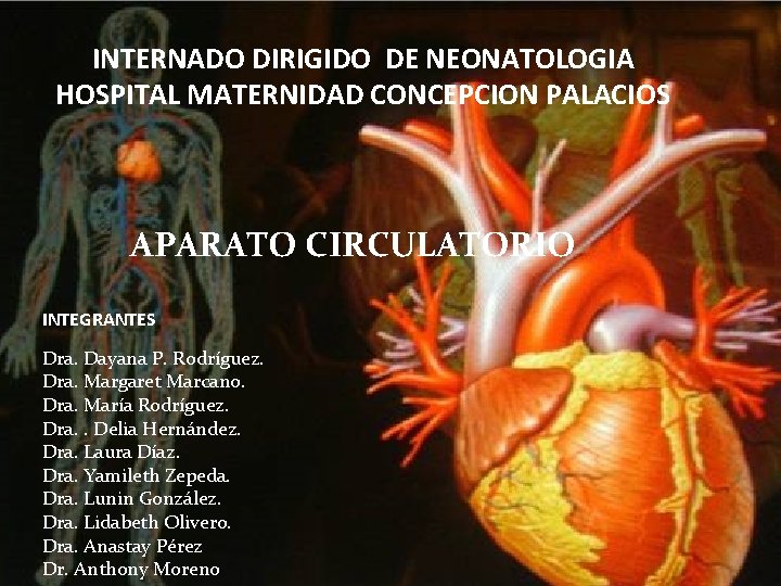 INTERNADO DIRIGIDO DE NEONATOLOGIA HOSPITAL MATERNIDAD CONCEPCION PALACIOS APARATO CIRCULATORIO INTEGRANTES Dra. Dayana P.