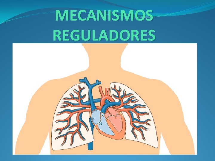 MECANISMOS REGULADORES 