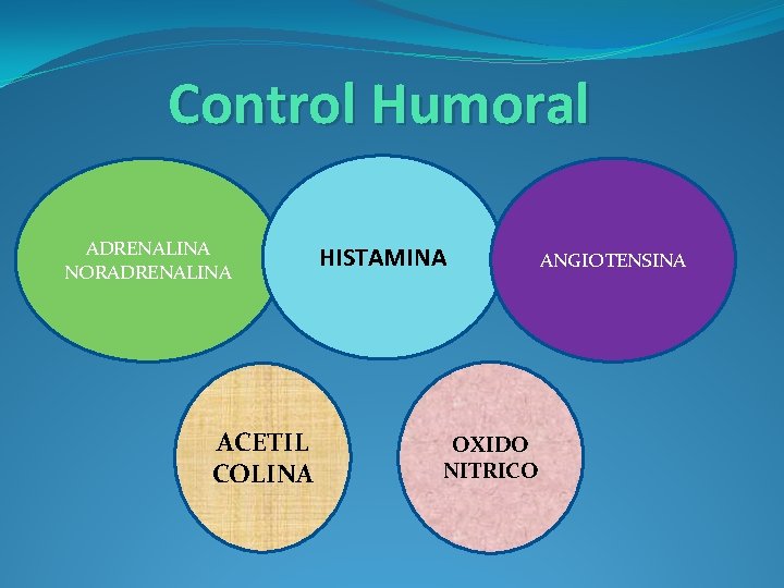 Control Humoral ADRENALINA NORADRENALINA ACETIL COLINA HISTAMINA OXIDO NITRICO ANGIOTENSINA 