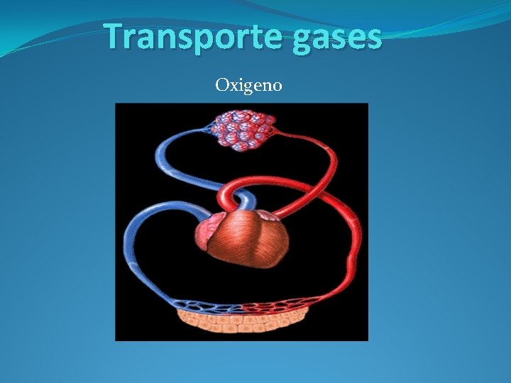 Transporte gases Oxigeno 