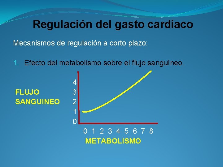 Regulación del gasto cardíaco Mecanismos de regulación a corto plazo: 1. Efecto del metabolismo