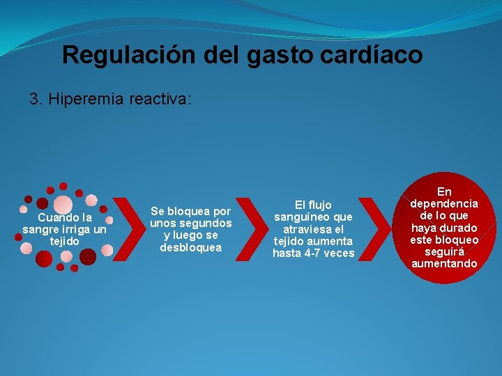 Regulación del gasto cardíaco 3. Hiperemia reactiva: Cuando la sangre irriga un tejido Se