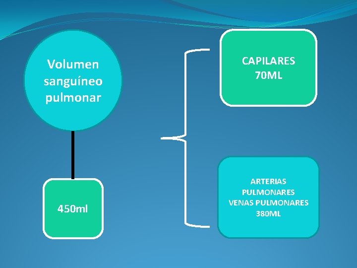 Volumen sanguíneo pulmonar 450 ml CAPILARES 70 ML ARTERIAS PULMONARES VENAS PULMONARES 380 ML