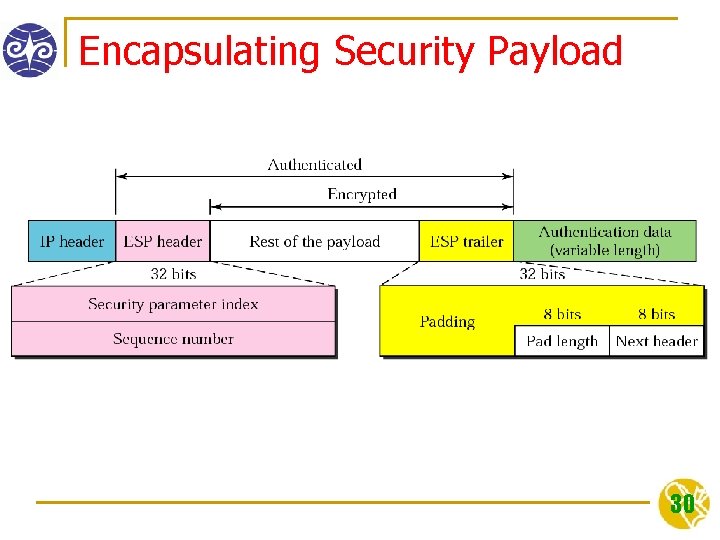 Encapsulating Security Payload 30 