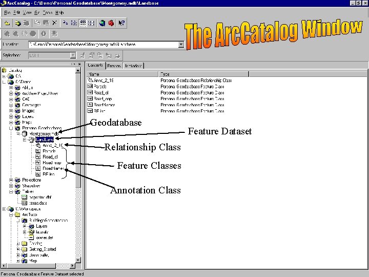 Geodatabase Relationship Class Feature Classes Annotation Class Feature Dataset 