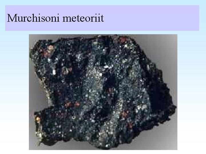 Murchisoni meteoriit 