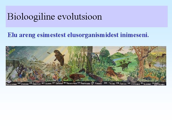 Bioloogiline evolutsioon Elu areng esimestest elusorganismidest inimeseni. 