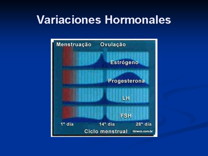 Variaciones Hormonales 