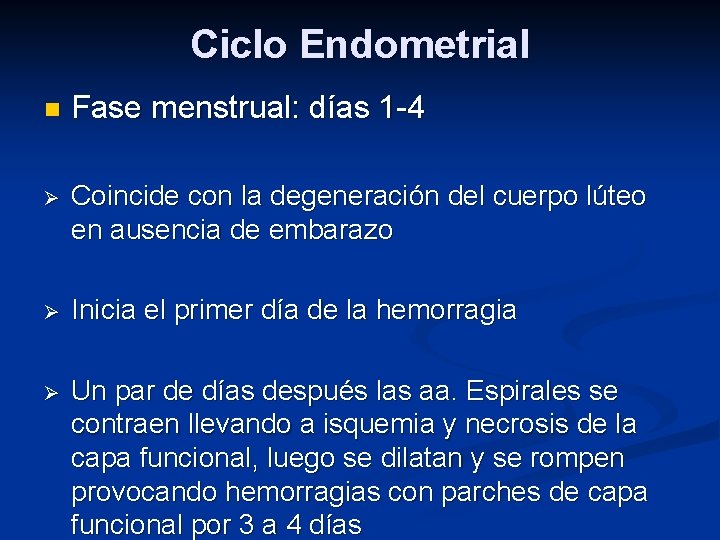 Ciclo Endometrial n Fase menstrual: días 1 -4 Ø Coincide con la degeneración del