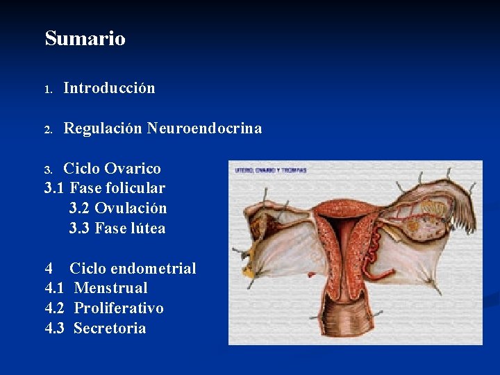 Sumario 1. Introducción 2. Regulación Neuroendocrina Ciclo Ovarico 3. 1 Fase folicular 3. 2