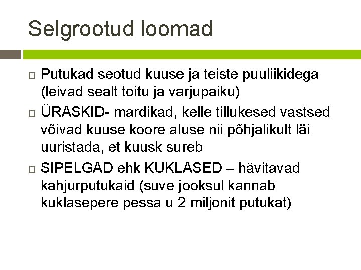 Selgrootud loomad Putukad seotud kuuse ja teiste puuliikidega (leivad sealt toitu ja varjupaiku) ÜRASKID-