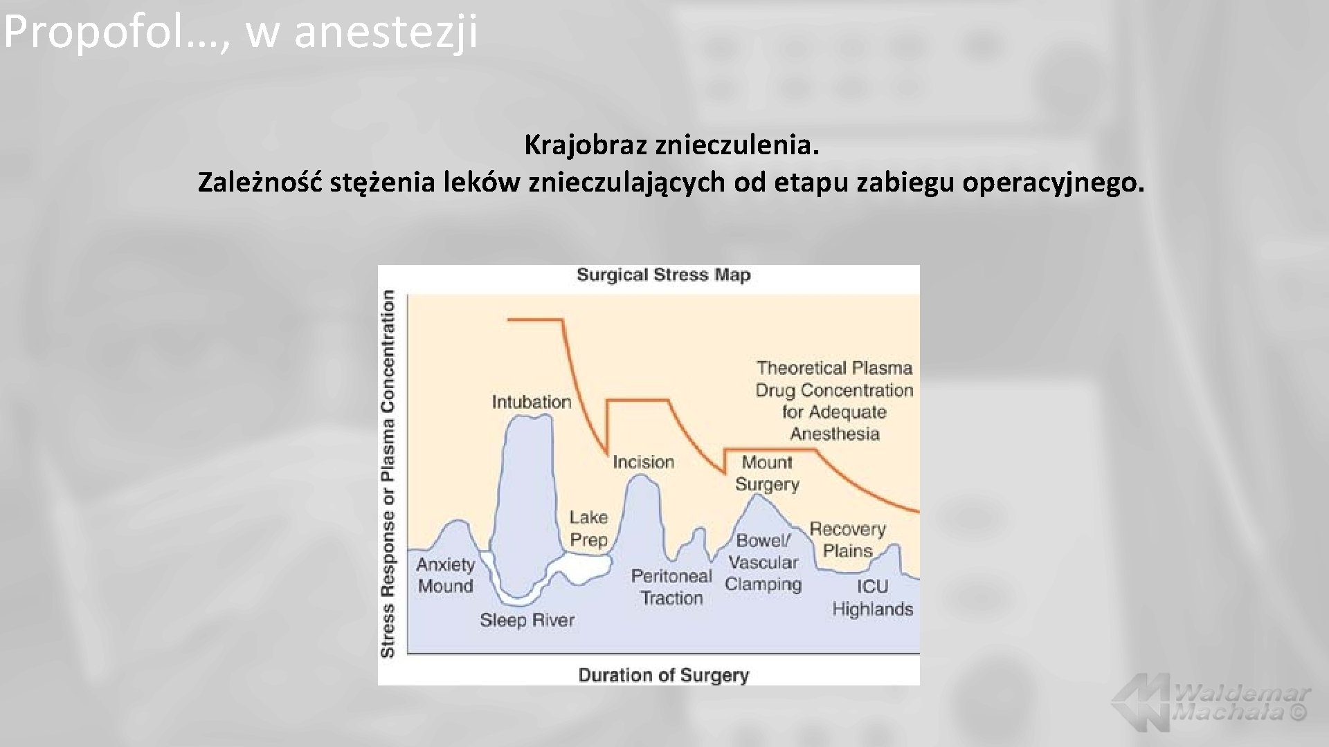 Propofol…, w anestezji Krajobraz znieczulenia. Zależność stężenia leków znieczulających od etapu zabiegu operacyjnego. 