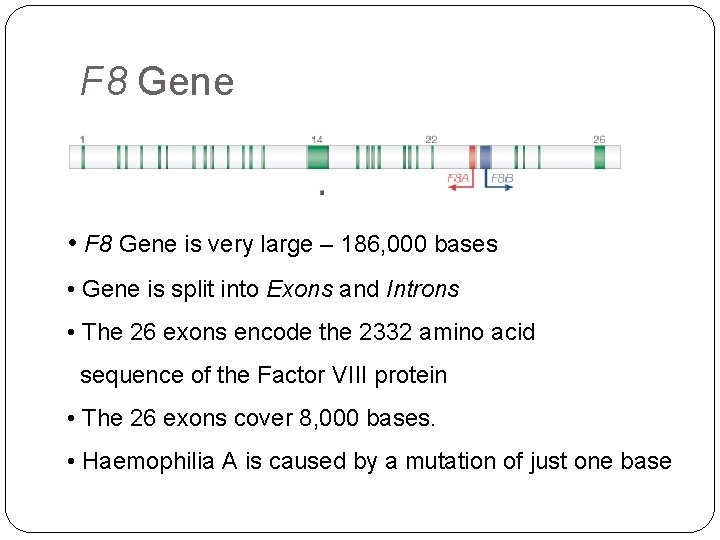 Genetics of Inherited Bleeding Disorders Dr Paul Winter
