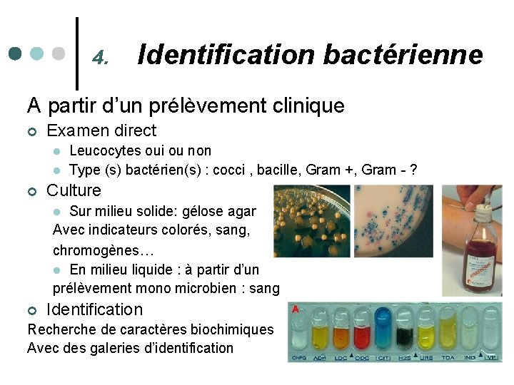 4. Identification bactérienne A partir d’un prélèvement clinique ¢ Examen direct l l ¢