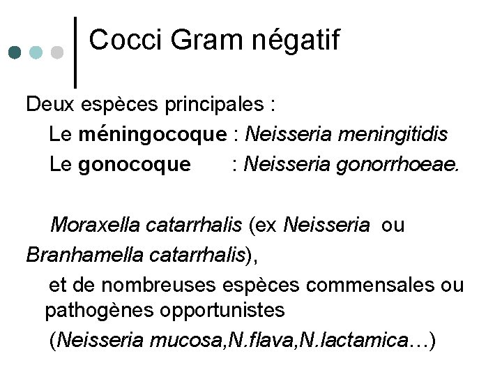 Cocci Gram négatif Deux espèces principales : Le méningocoque : Neisseria meningitidis Le gonocoque