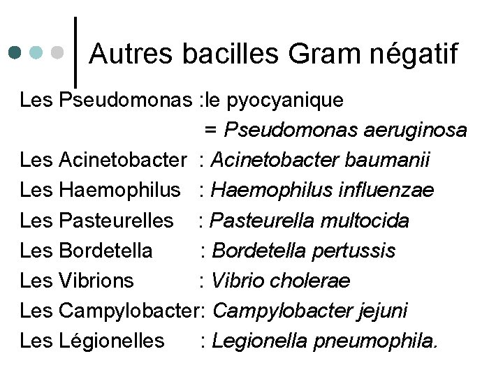 Autres bacilles Gram négatif Les Pseudomonas : le pyocyanique = Pseudomonas aeruginosa Les Acinetobacter