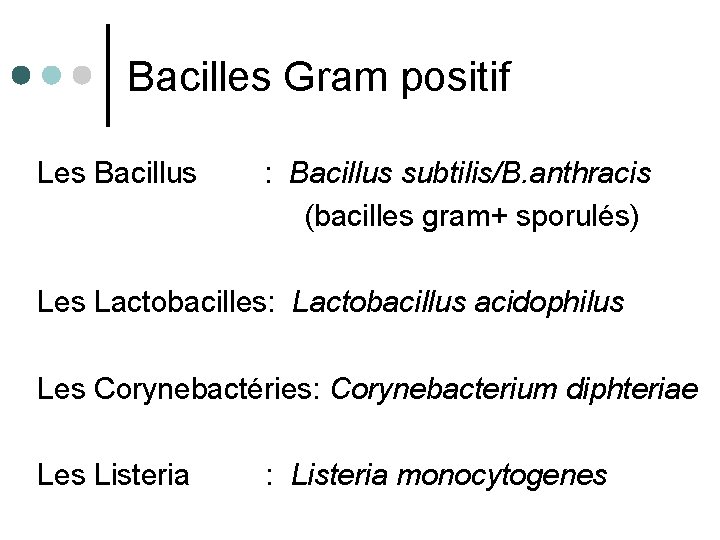 Bacilles Gram positif Les Bacillus : Bacillus subtilis/B. anthracis (bacilles gram+ sporulés) Les Lactobacilles:
