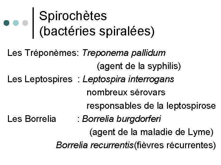 Spirochètes (bactéries spiralées) Les Tréponèmes: Treponema pallidum (agent de la syphilis) Les Leptospires :