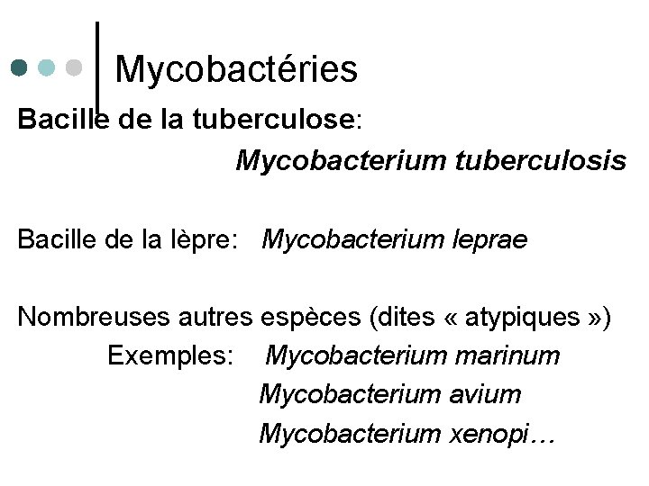 Mycobactéries Bacille de la tuberculose: Mycobacterium tuberculosis Bacille de la lèpre: Mycobacterium leprae Nombreuses