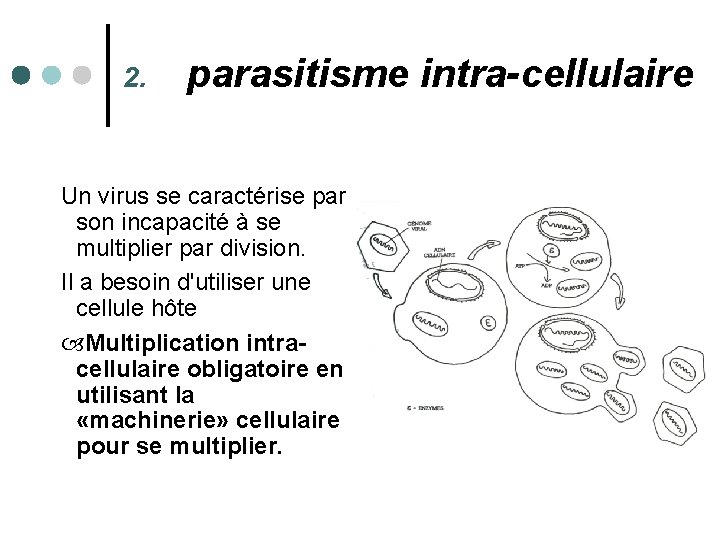 2. parasitisme intra-cellulaire Un virus se caractérise par son incapacité à se multiplier par