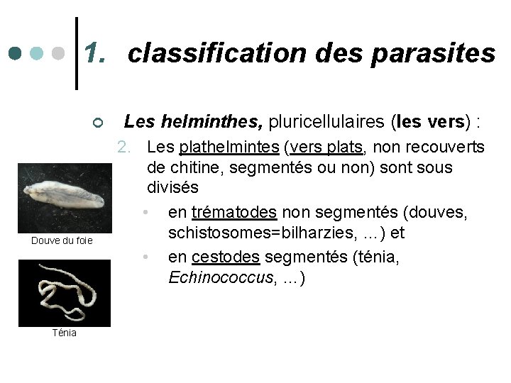 1. classification des parasites ¢ Douve du foie Ténia Les helminthes, pluricellulaires (les vers)